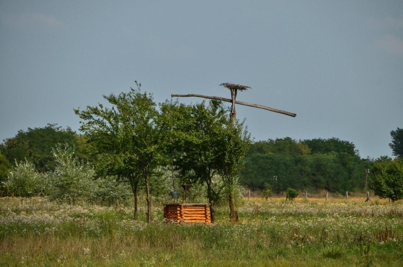 Antal-tavi Fogadó és Horgászparadicsom Szentes Exterior foto